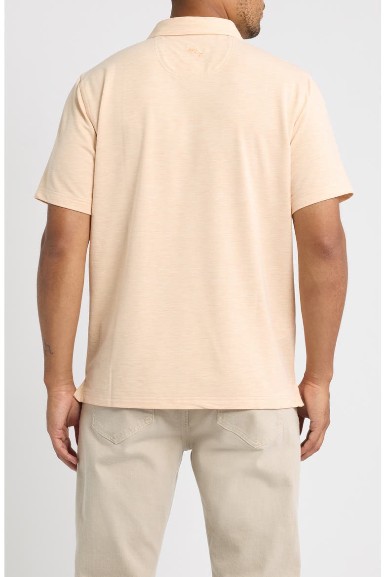 Coasta Vera Porto Polo, Alternate, color, ROE