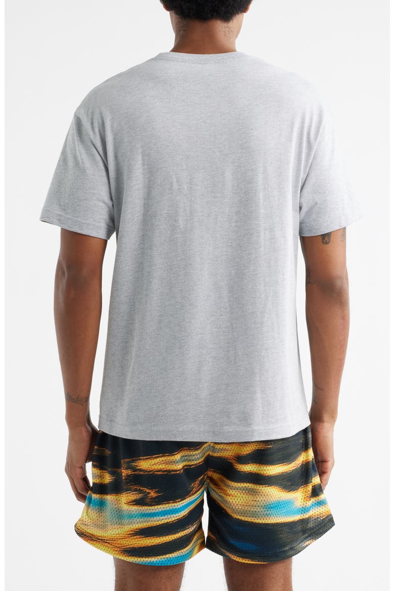 City Dreamerz Globe Cotton Graphic T-Shirt, Alternate, color, GREY