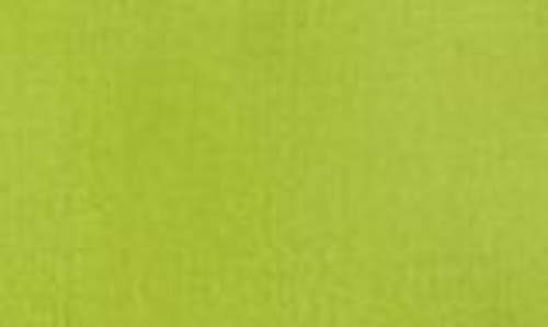 Kasper Slim Pants In Kiwi