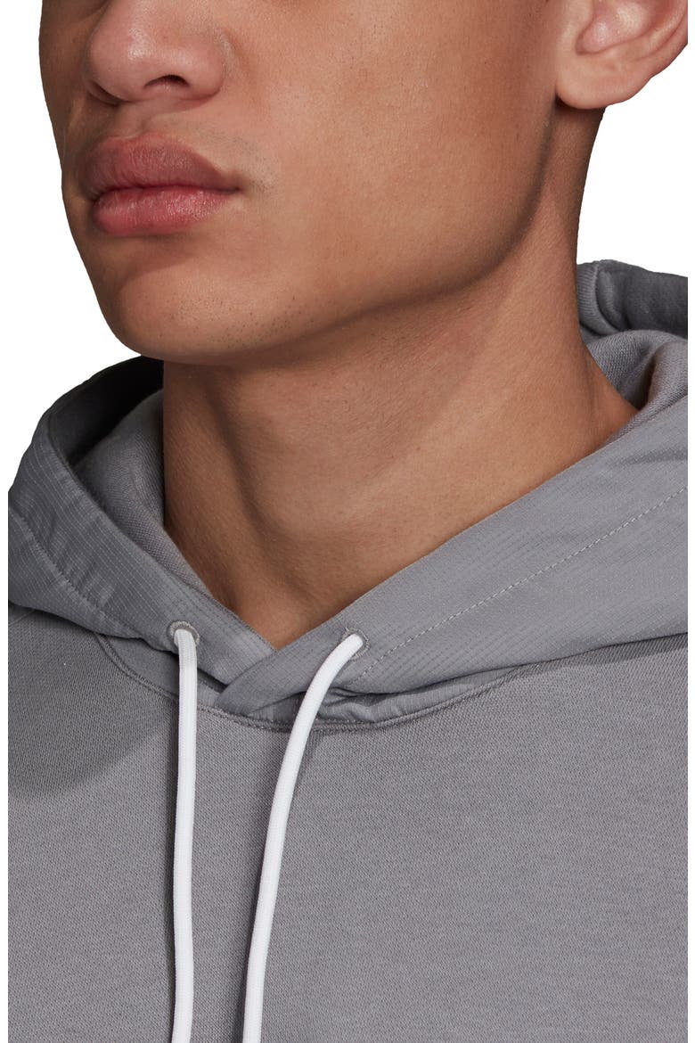 BX-20 Hoodie, Alternate, color, GREY