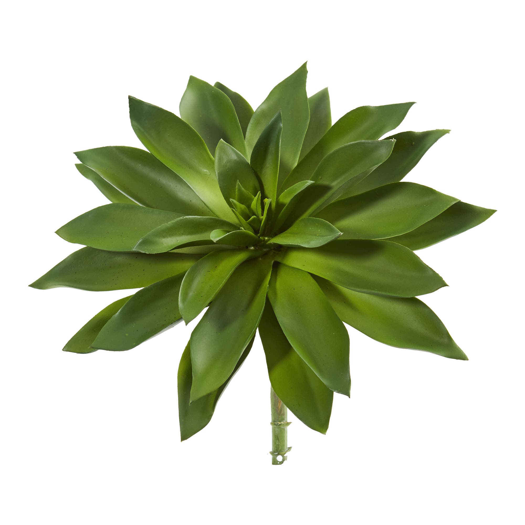 selected Green