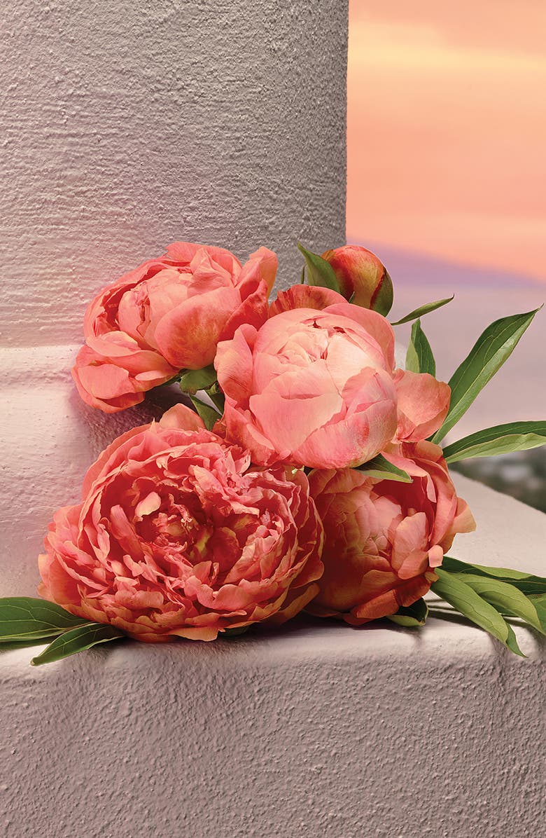 Dolce&Gabbana My Devotion Eau de Parfum Intense, Alternate, color, 