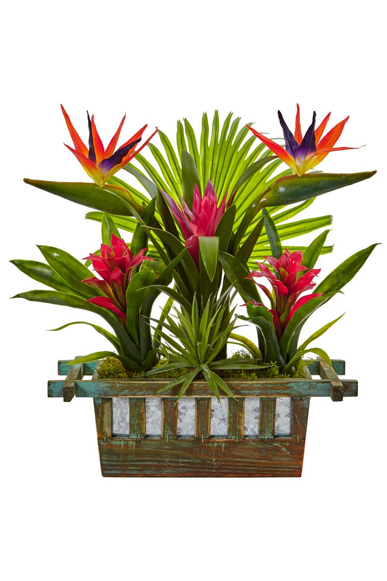 Bird of Paradise and Bromeliad in Planter, Main, color, Red