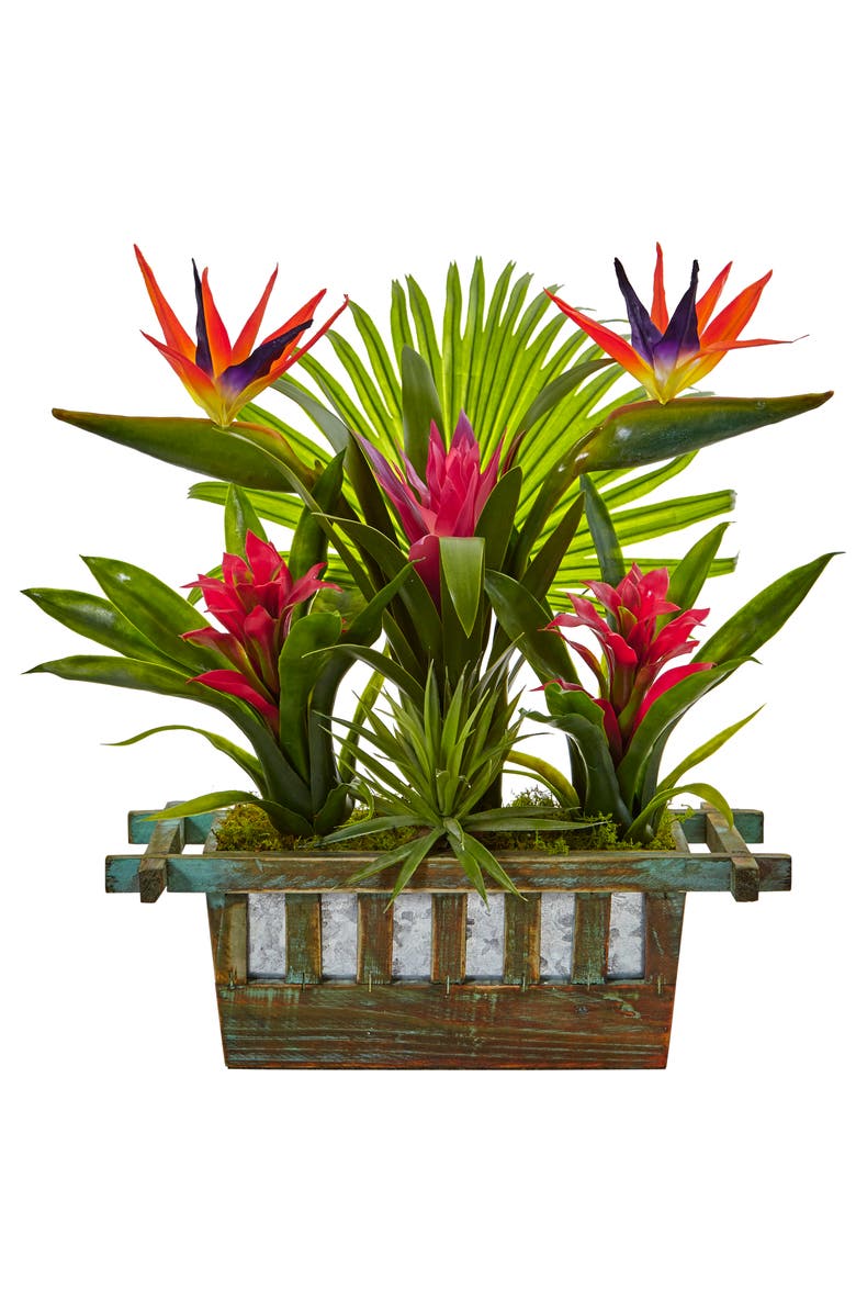 NEARLY NATURAL Bird of Paradise and Bromeliad in Planter, Main, color, Red
