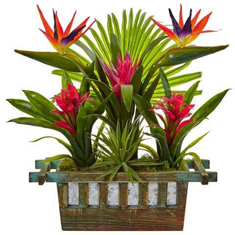 Bird of Paradise and Bromeliad in Planter