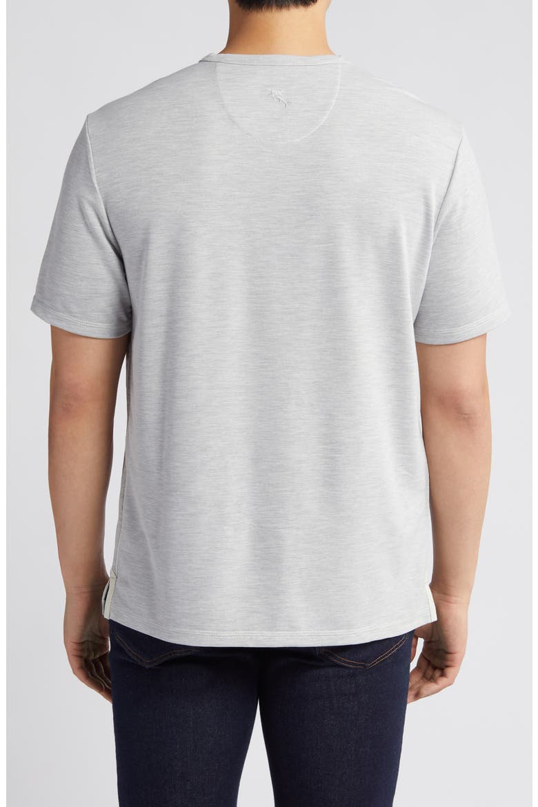 New Costa V-Neck T-Shirt, Alternate, color, ASH GREY