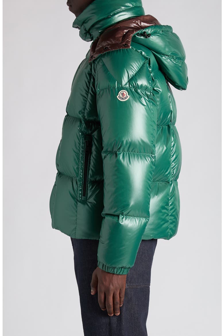 Parana Down Jacket with Removable Hood, Alternate, color, BISTRO GREEN
