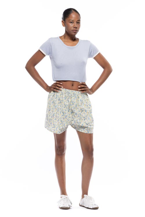 Toit Volant Joan Boxer Shorts In Gray