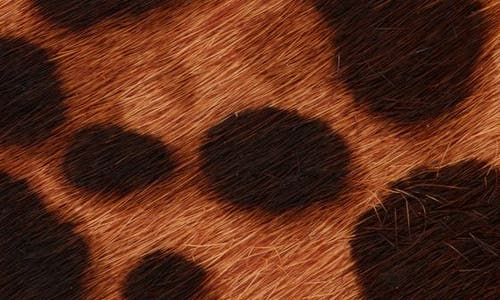 Nordstrom Daphne Genuine Calf Hair Belt In Brown