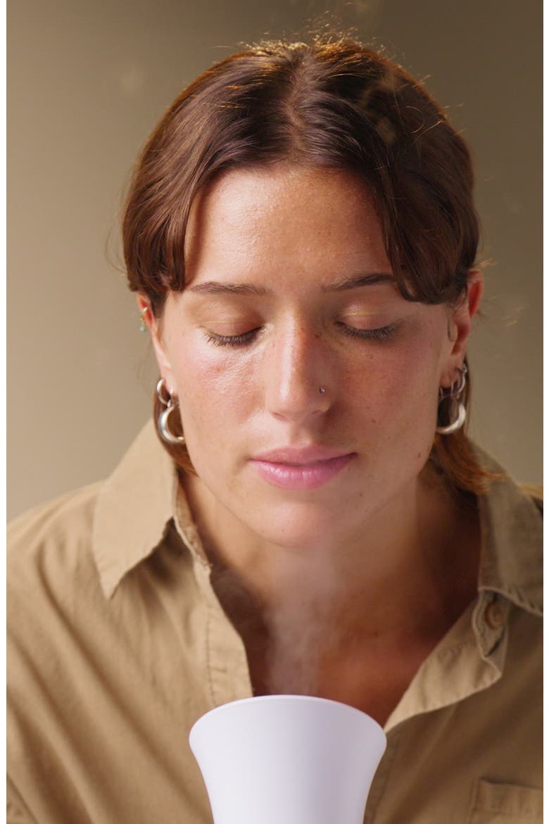SilkSteam Renew Pro Facial Steamer $159 Value, Alternate, color, WHITE