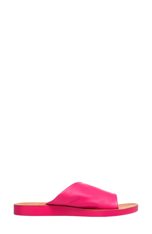 Antelope Ami Leather Slide Sandal In Fuchsia
