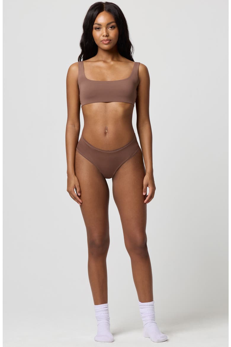 Soft Flex Hipster Panties, Alternate, color, CHESTNUT