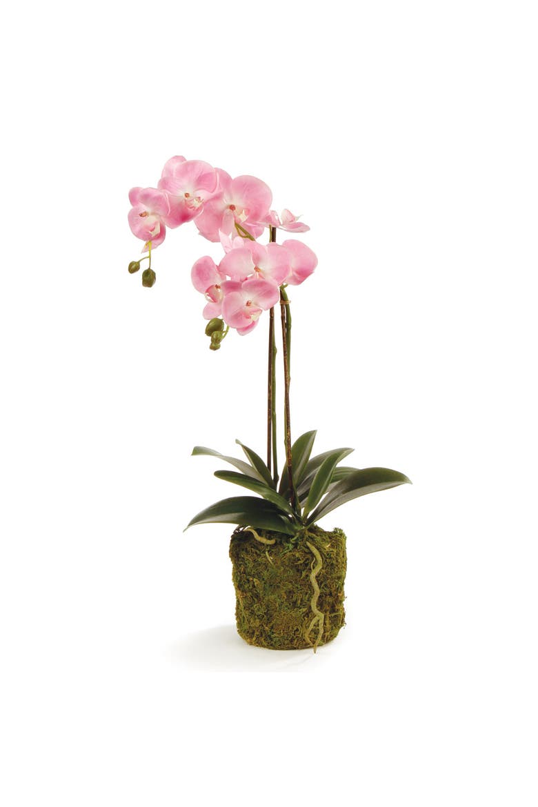 Phalaenopsis Orchid Drop-In 23", Main, color, Pink