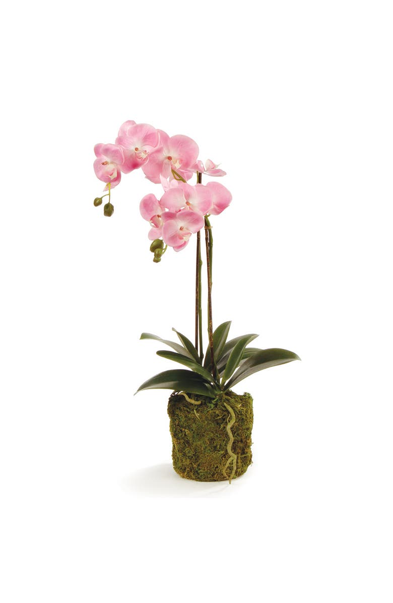 Napa Home & Garden Phalaenopsis Orchid Drop-In 23", Main, color, Pink