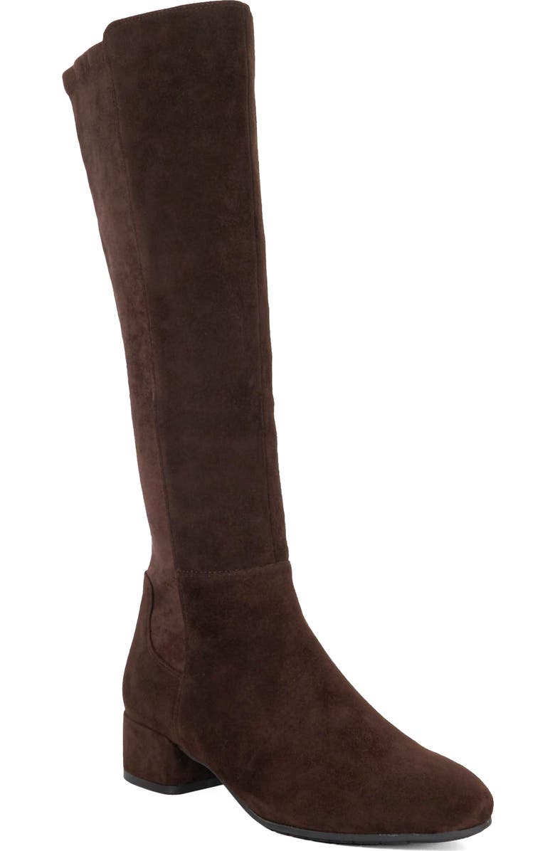 Dune London Tayla Knee High Boot, Main, color, Brown