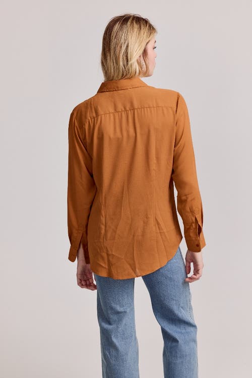 The Shirt By Rochelle Behrens The Signature Shirt In Brown