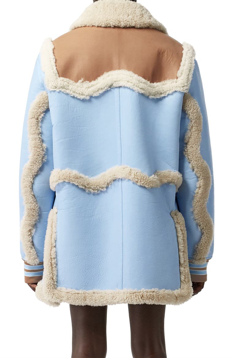 Two-Tone Genuine Shearling & Leather Coat, Alternate, color, BABY BLUE