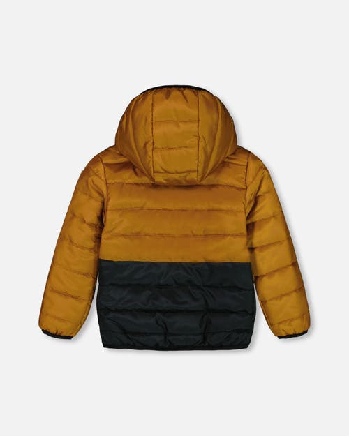 Deux Par Deux Little Boy's Colorblock Quilted Mid-season Jacket Brown And Black In Brown And Black
