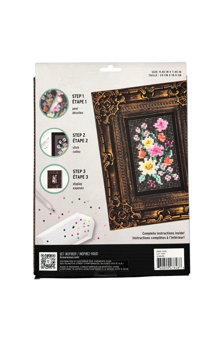 Brea Reese Frame Gem Kit, Alternate, color, Multicolored