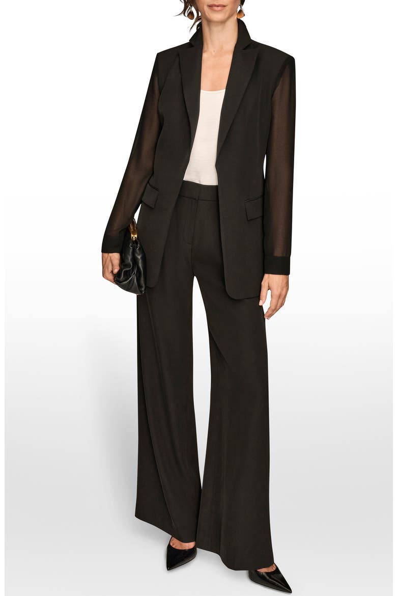 Sheer Sleeve Blazer, Alternate, color, BLACK