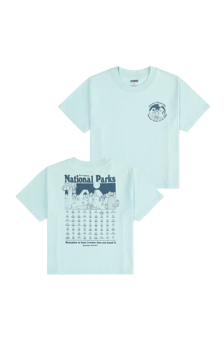 Parks Project National Parks Fill In Boxy Tee, Main, color, Ash Blue