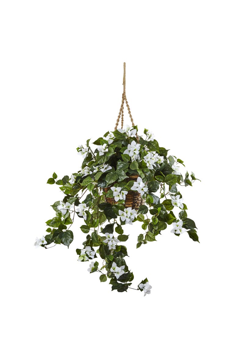 Bougainvillea Hanging Basket, Main, color, White