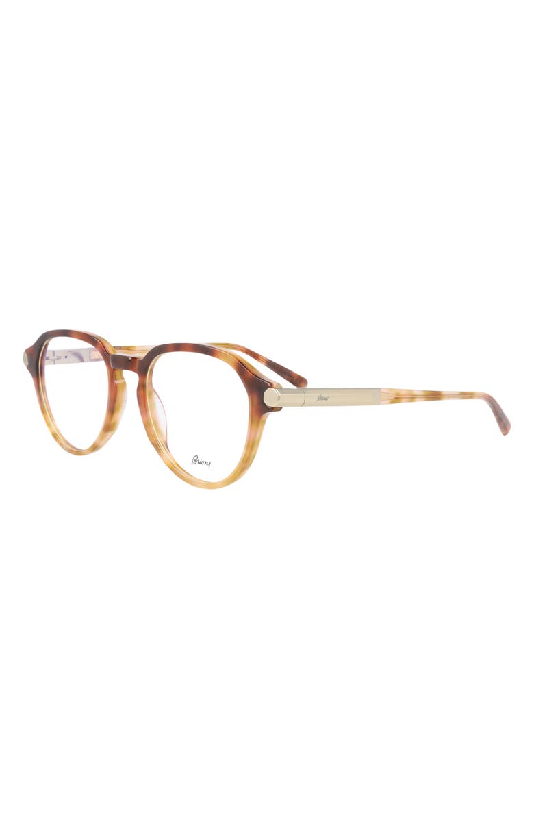 Brioni Novelty 51mm Round Sunglasses, Alternate, color, Havana Havana Transparent