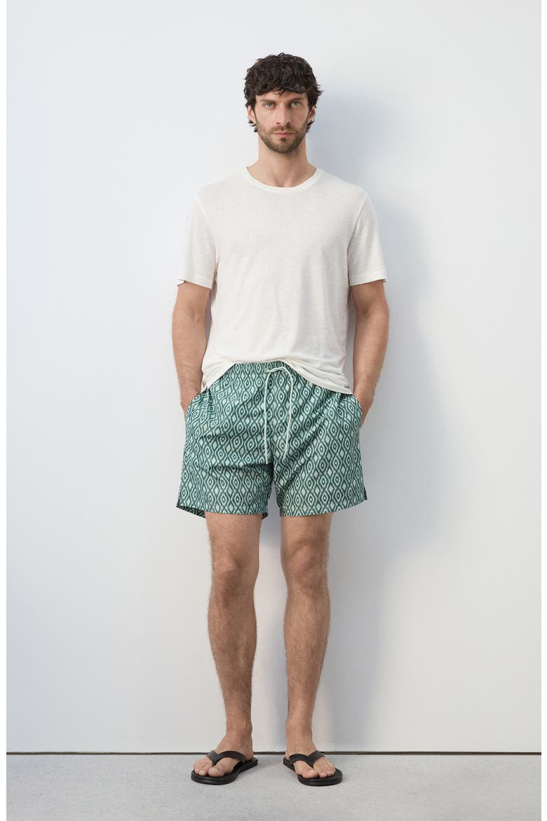 Print Swim Trunks, Alternate, color, GREEN