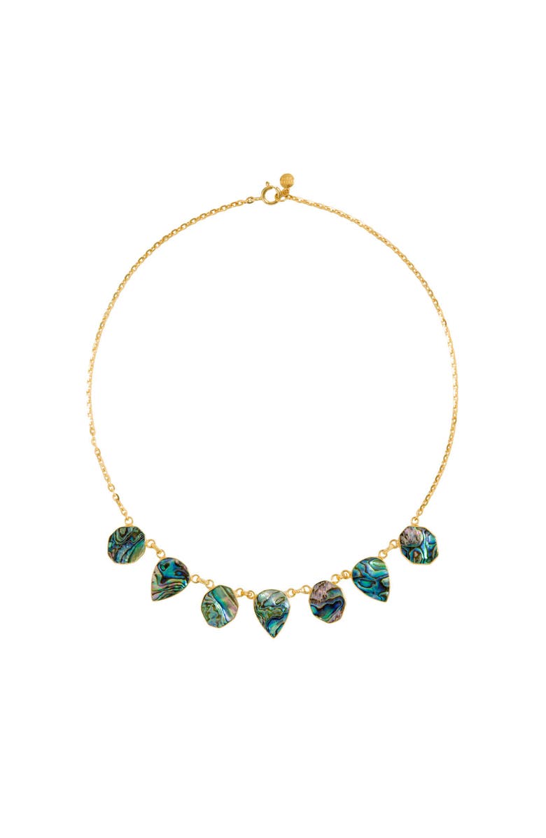 Freya Rose Warrioress Small Paua Necklace, Main, color, 