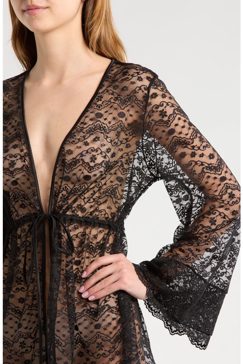 Embroidered Sheer Mesh Robe, Alternate, color, BLACK