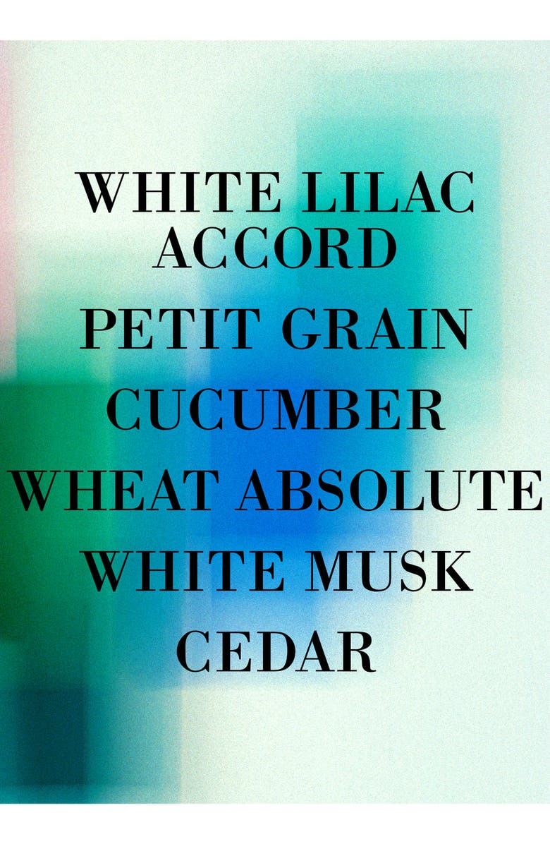 Frédéric Malle En Passant Eau de Parfum, Alternate, color, 