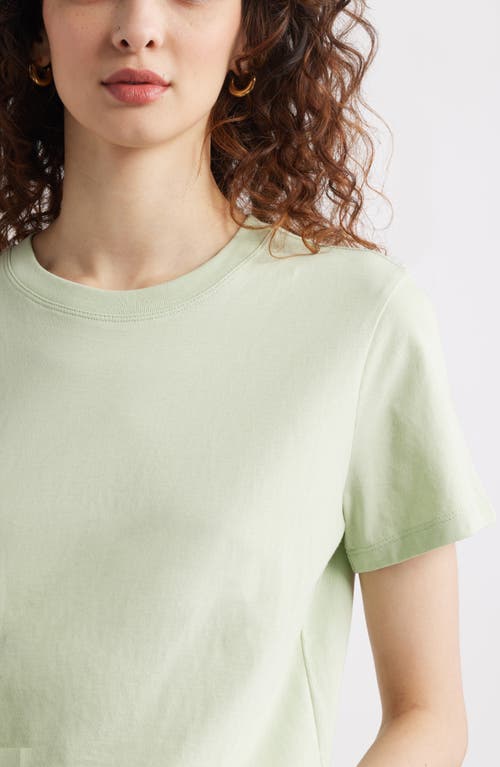 Treasure & Bond Cotton Crewneck T-shirt In Green Celadon