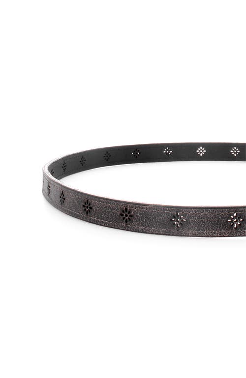 Bed Stu Monae Ii Belt In Black