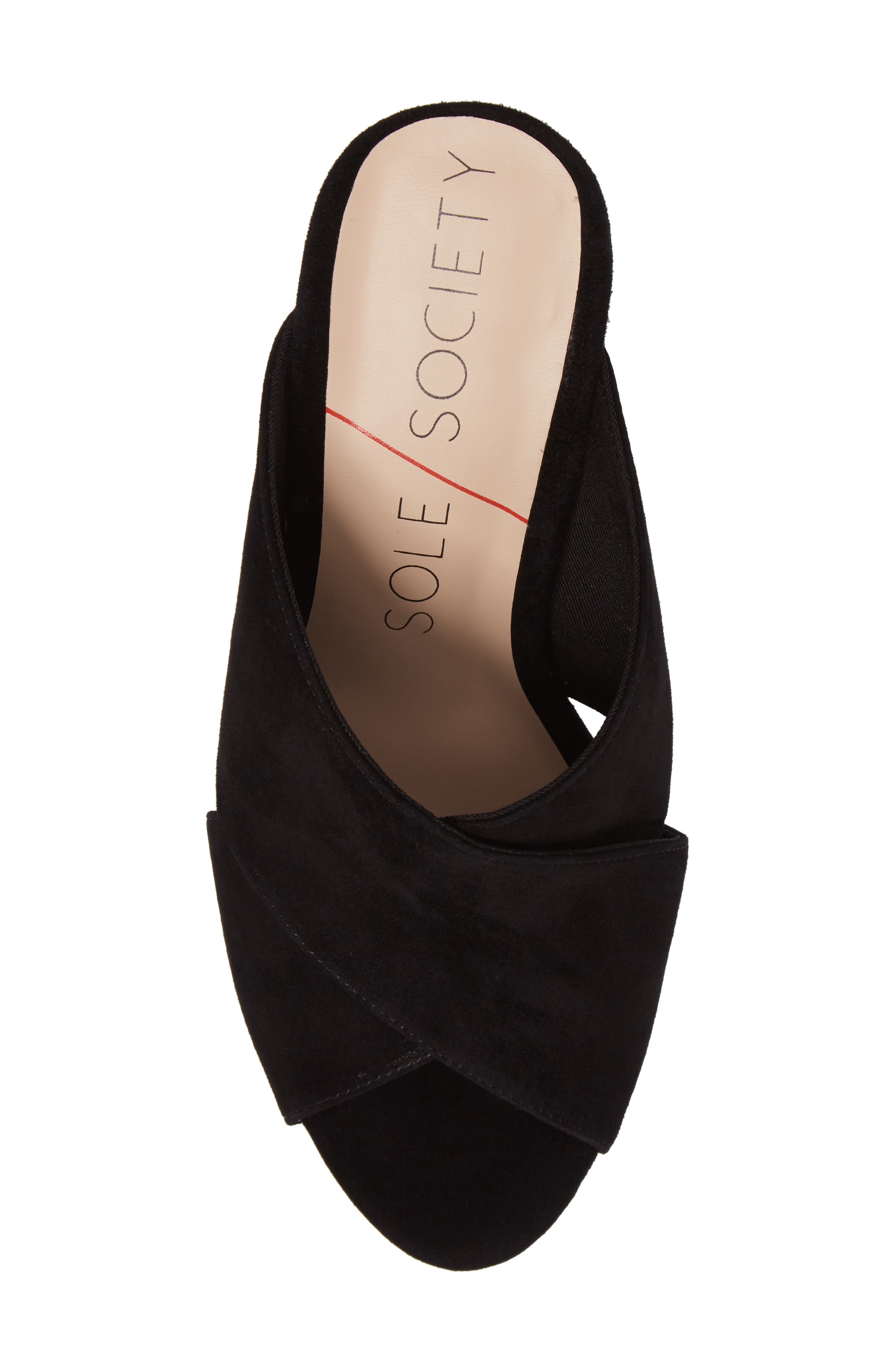 Luella Flower Embroidered Slide, Alternate, color, BLACK