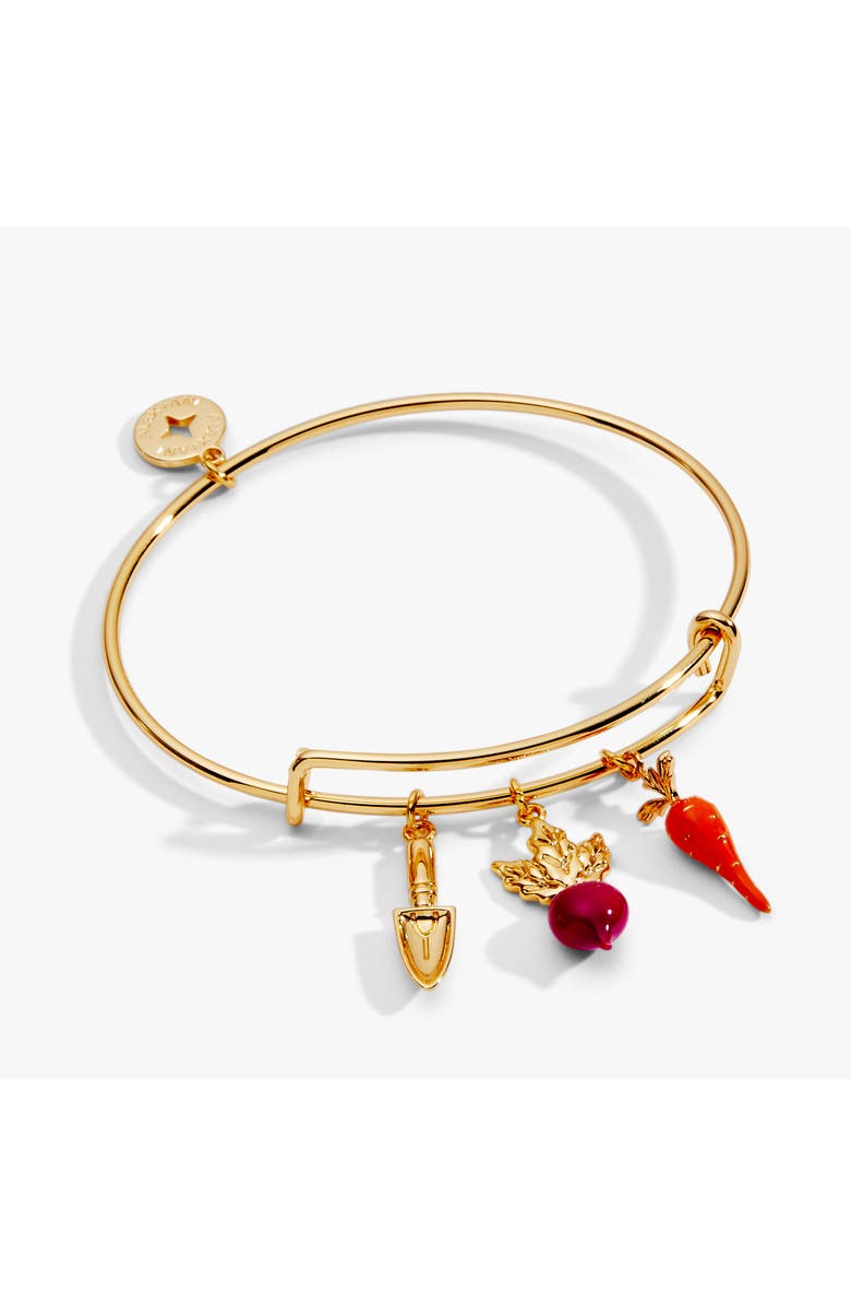 Alex and Ani Farmers' Market Multi Charm Bangle, Main, color, 