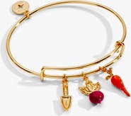 Alex and Ani Farmers' Market Multi Charm Bangle