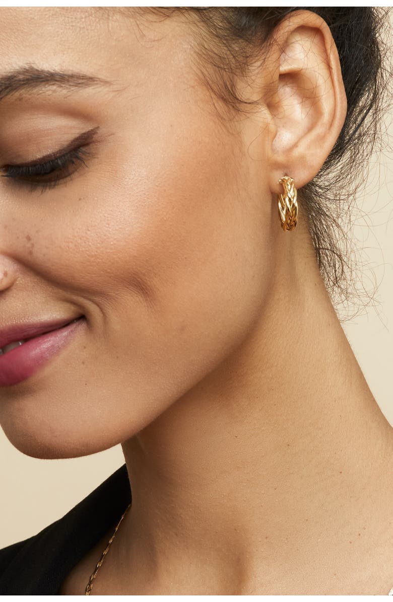 Oradina 14K Yellow Gold Caesar Midi Hoops, Alternate, color, Yellow Gold