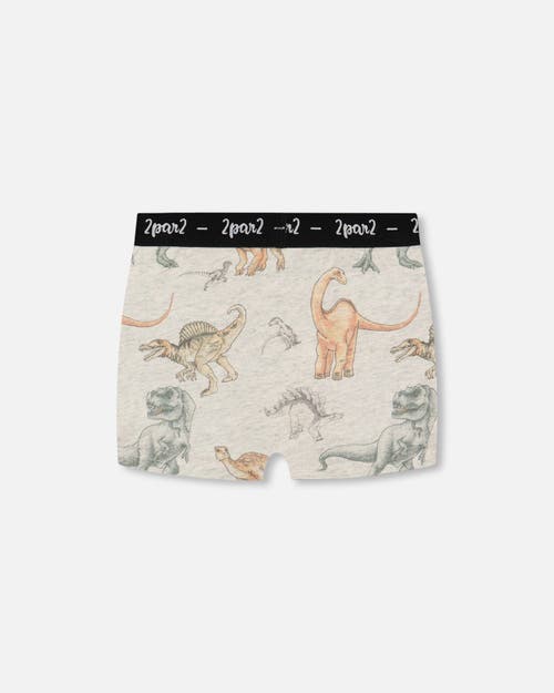 Deux Par Deux Boy's Printed Organic Cotton Boxer Shorts Dinosaur On Mottled And Tan Background In Dinosaur On Mottled And Tan