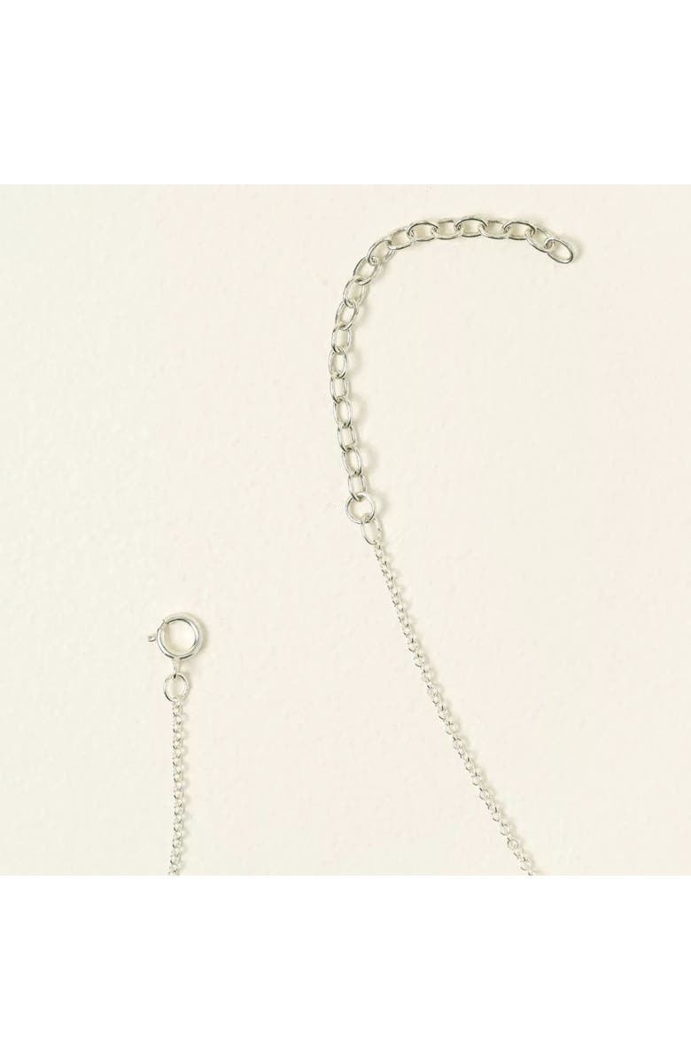 Uncommon Goods Birth Flower Necklace by Shari Dixon, Alternate, color, January / Carnation