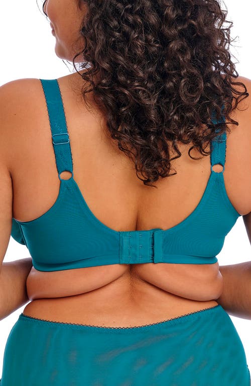 Elomi Zarla Full Figure Underwire Bra In Blue