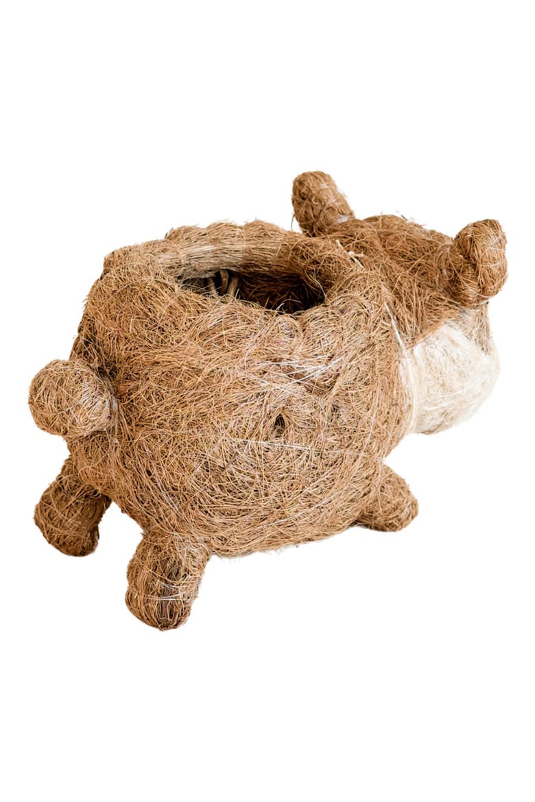 Baby Corgi Handwoven Planter, Alternate, color, BROWN / WHITE
