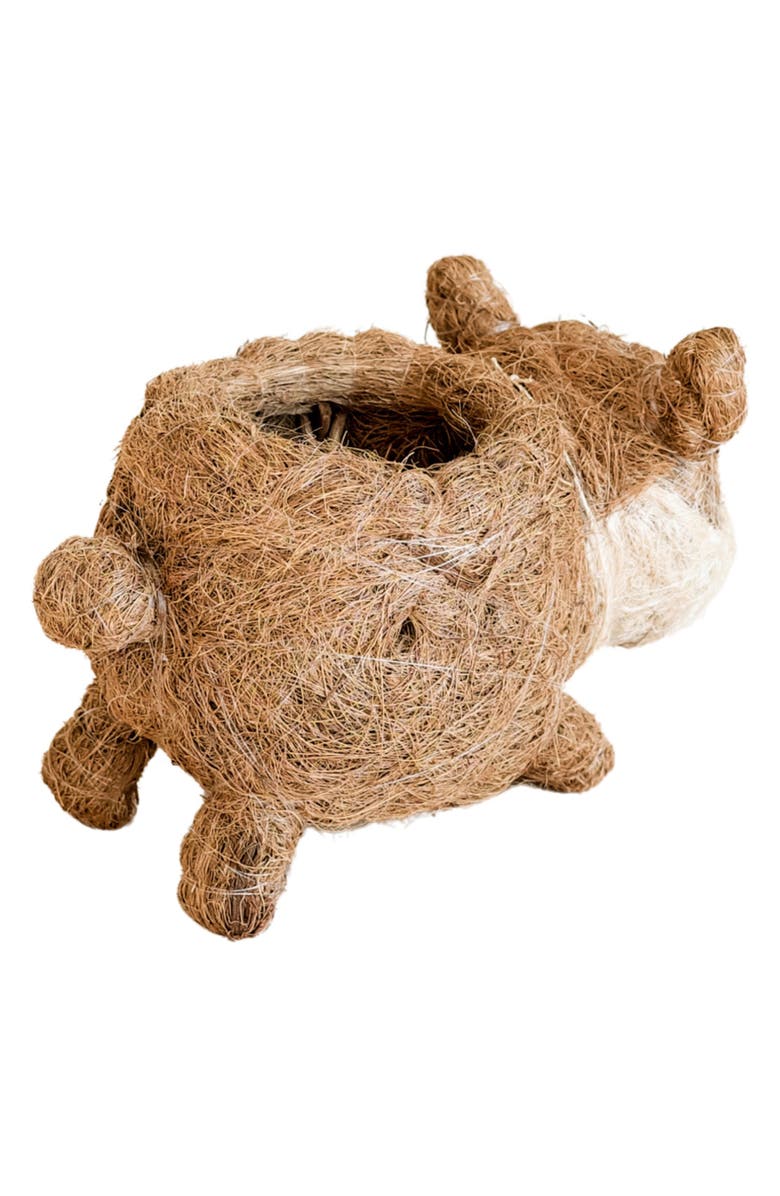 LIKHA Baby Corgi Handwoven Planter, Alternate, color, Brown / White