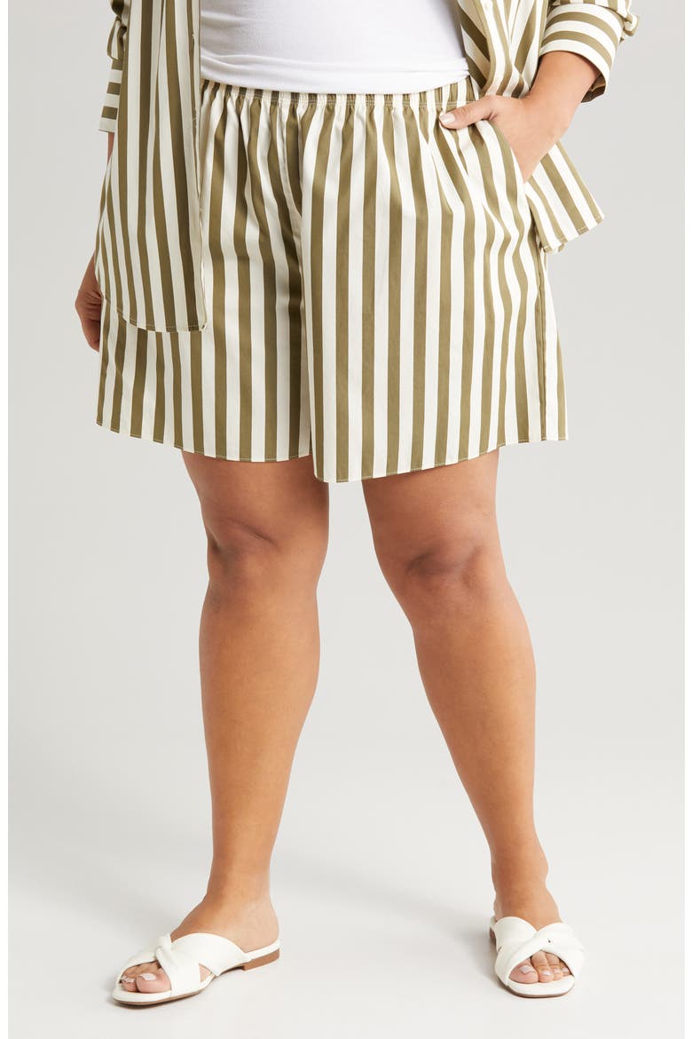 Stripe Pull-On Cotton Shorts, Main, color, OLIVE BURNT CABANA STRIPE