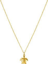 Atolea Sea Turtle Necklace