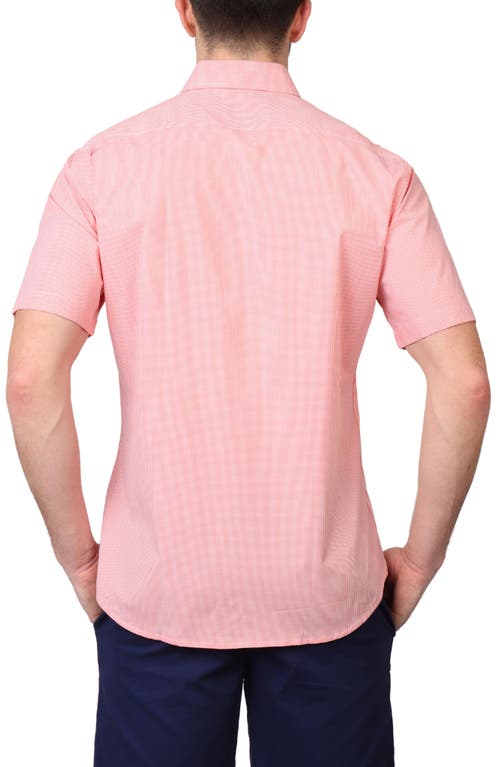 Tailorbyrd Micro Gingham Short Sleeve Button-up Shirt In Tangerine