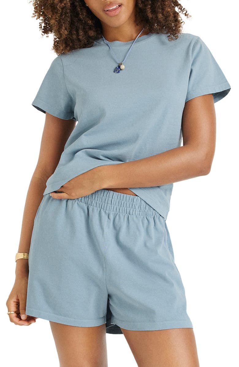 Vitamin A<sup>®</sup> Coast Fitted Cotton T-Shirt, Main, color, Dusk Blue