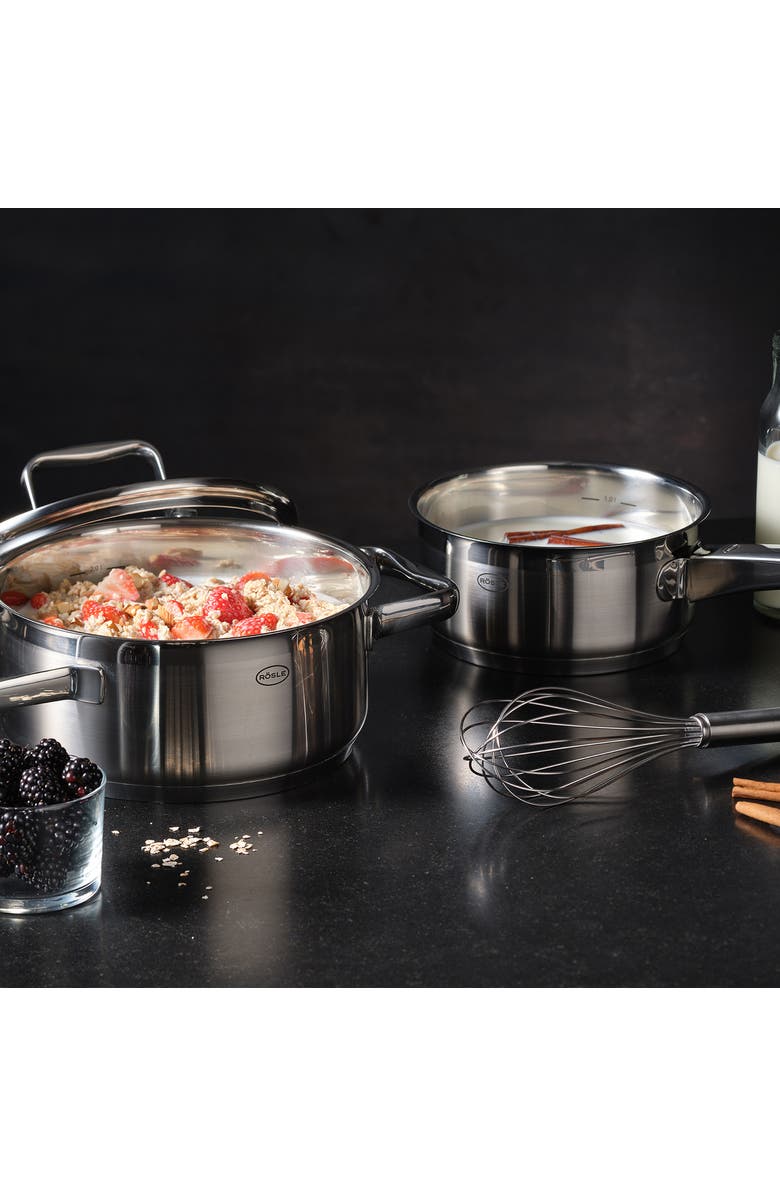 Rosle Stainless Steel Balloon Egg Whisk, 10.6-Inch, Alternate, color, Silver