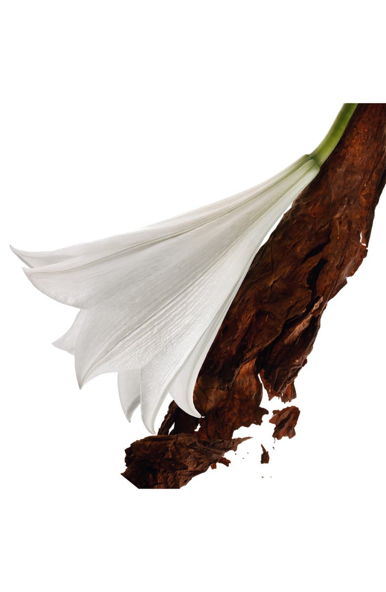 Yves Saint Laurent Mon Paris Eau de Parfum Set, Alternate, color, 