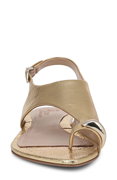 27 Edit Naturalizer Via Slingback Pointed Toe Sandal In Dark Gold