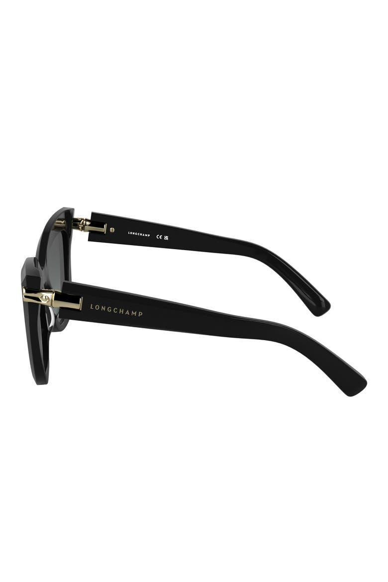 Roseau 50mm Gradient Cat Eye Sunglasses, Alternate, color, BLACK